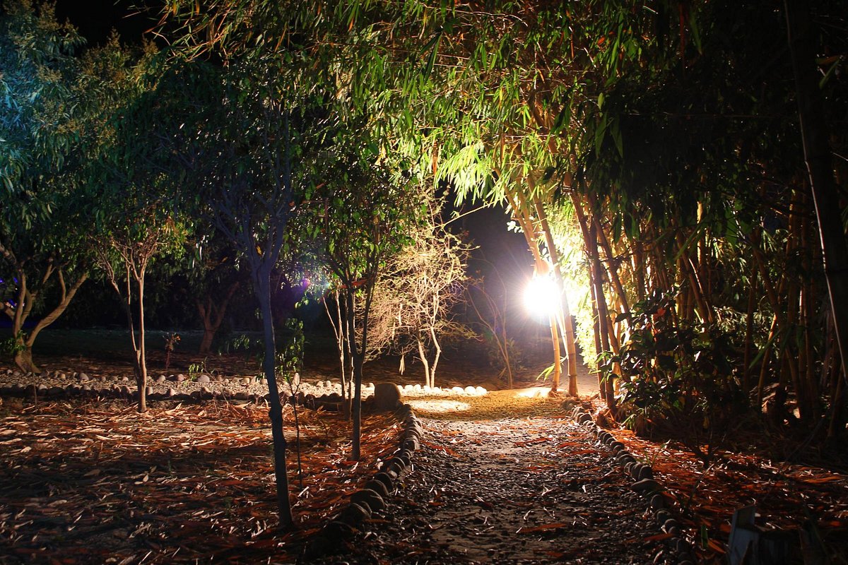 jaagar (2)