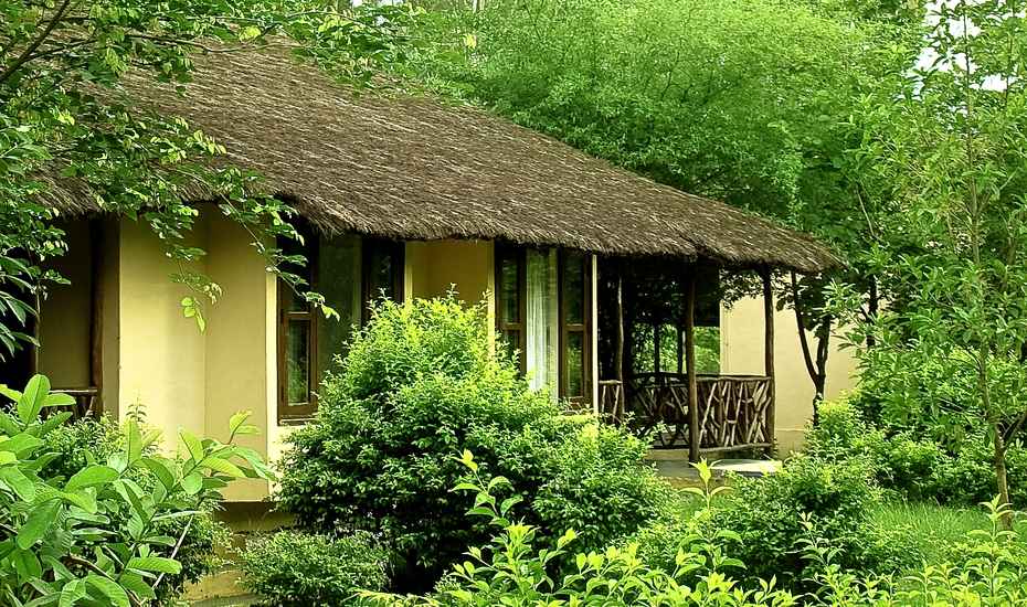 jims_jungle_retreat_resort